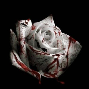 Romantic Homicide
