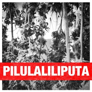 PILULALILIPUTA