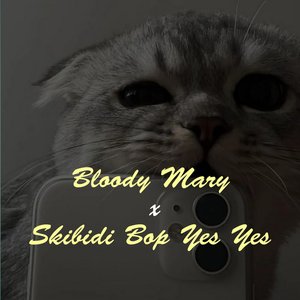 Bloody Mary x Skibidi Bop Yes Yes