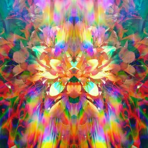 In Bloom