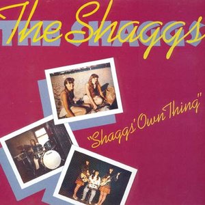 Image for 'Shaggs' Own Thing'