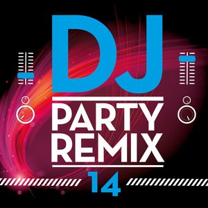 DJ Party Remix, Vol. 14