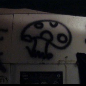 Avatar for Fliegenpils