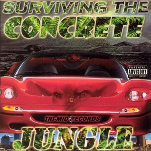 Surviving The Concrete Jungle
