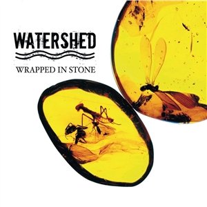 Wrapped In Stone - Repack