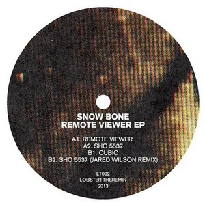 Remote Viewer EP