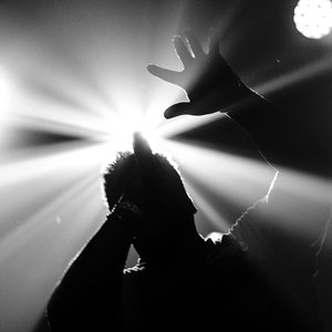 E L U C I D 的头像