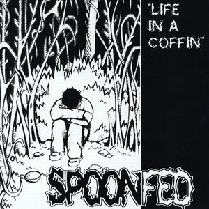 Life in a Coffin