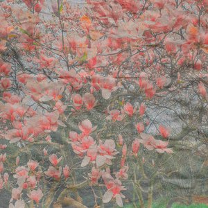 You Know That I Love You - Single