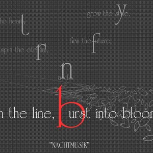 Nachtmusik 的头像