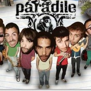 Paradile 的头像
