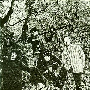 zetu 的头像