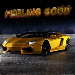 Feeling Good