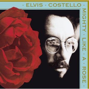 Mighty Like A Rose [Explicit]