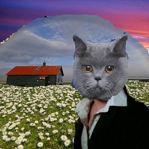 Dreams of Brittish Cat 的头像