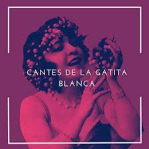 Cantes de la gatita blanca