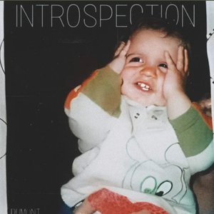 Introspection