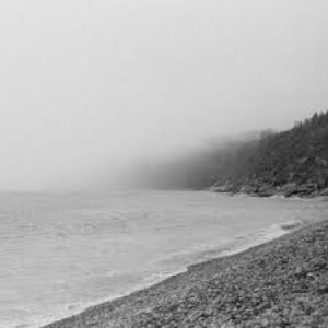 Never Let Me Go (Acoustic) - Single