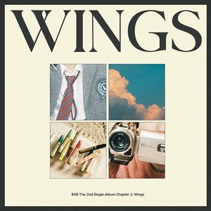 Chapter 2. Wings - Single