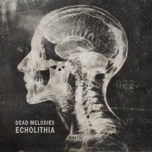 Echolithia