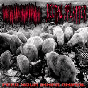 Feed Your Inner Animal