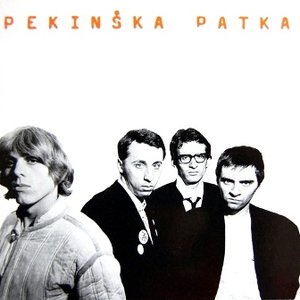 Pekinška patka