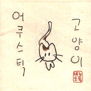 어쿠스틱 고양이