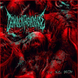 The Slow Decay