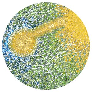 Cover Max Cooper - Feeling Is Structure