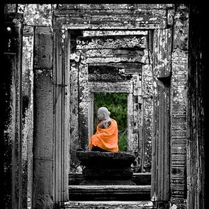 Meditation 的头像