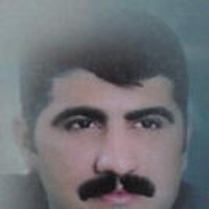 Adel hawrami 的头像