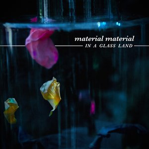 In a Glass Land