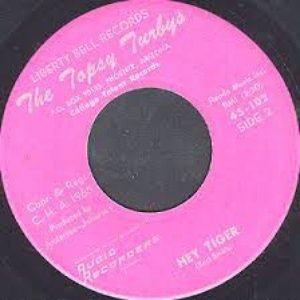 The Topsy Turbys 的头像