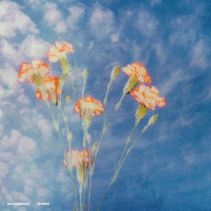 Limited - Single