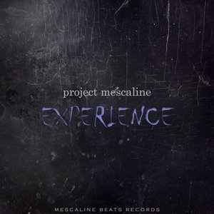 Experience