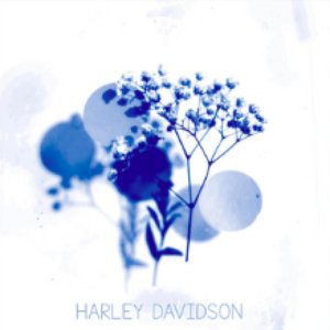 Harley Davidson