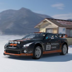 Snow Rally