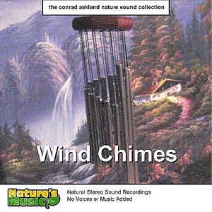 Image for 'Wind Chimes'