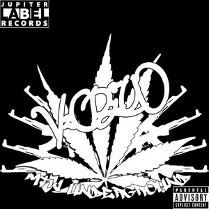 V2CREW 的头像
