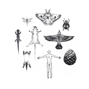 Bones And Wheels