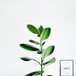 Avatar for Jon Timber
