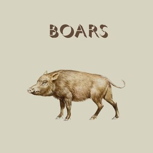 Sus Scrofa