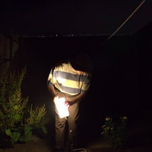 quiet radio collective 的头像