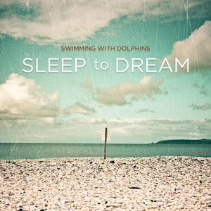 Image for 'Sleep To Dream'