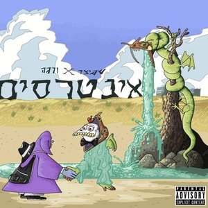 אינטרסים