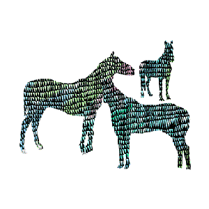 Avatar for I see horses