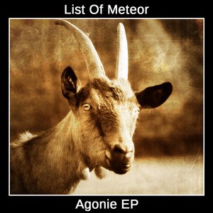 List Of Meteor 的头像