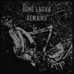 Remains