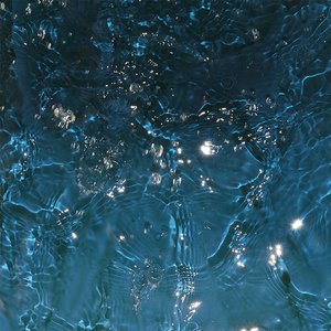 Bareback On The Motherfucking Plains - Single
