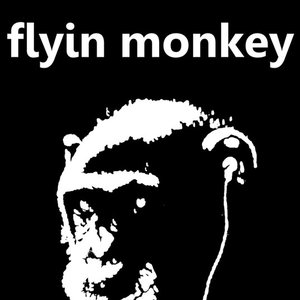 flyin monkey 的头像
